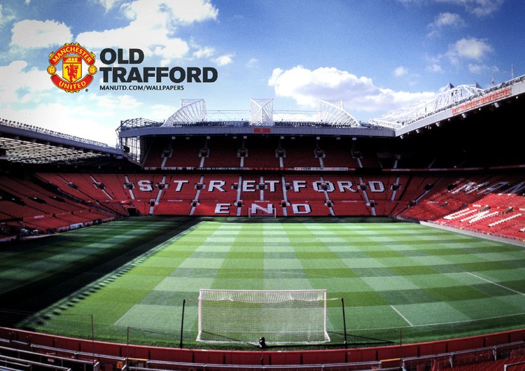 如何适应新 如何适应新